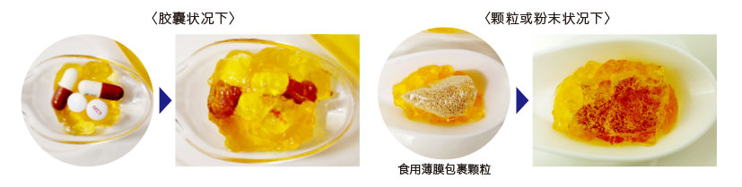 カプセル&粉末の場合
